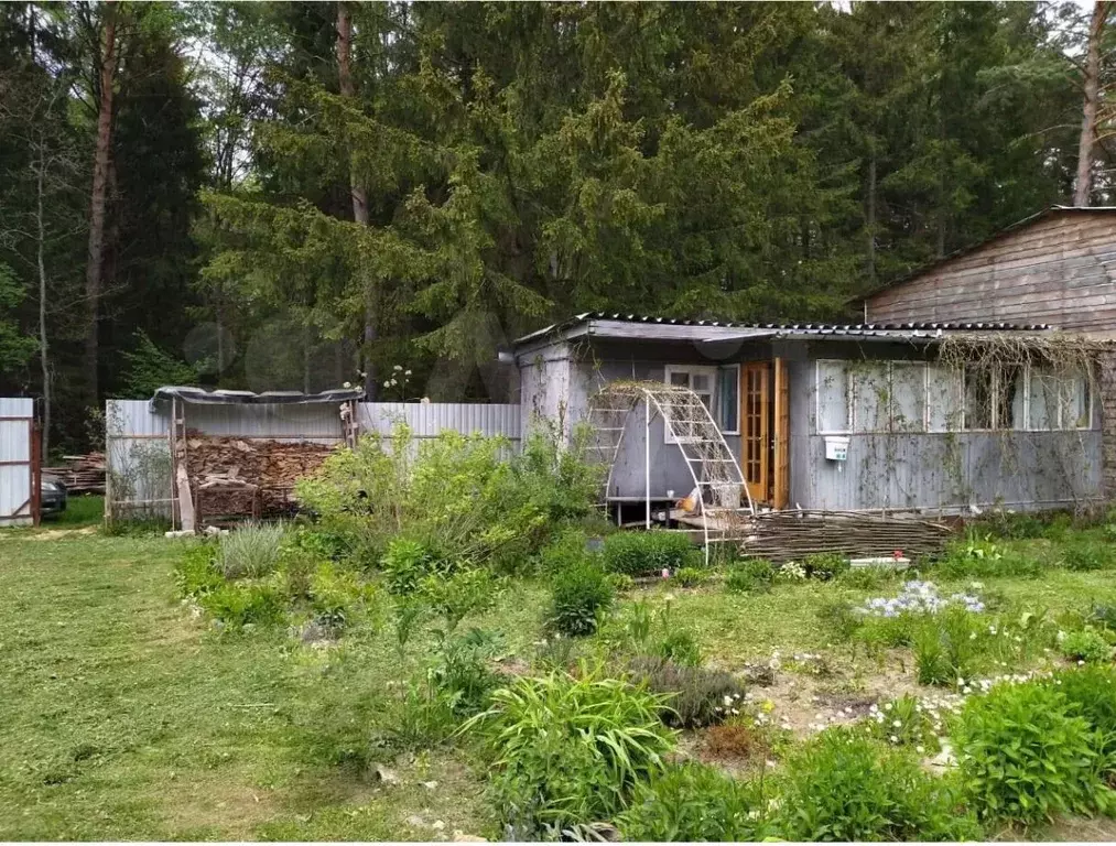 Участок в Калужская область, Перемышльский муниципальный округ, ... - Фото 1