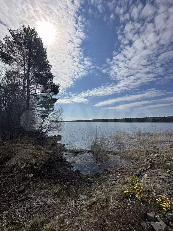 Участок 15 сот. (СНТ, ДНП) - Фото 0