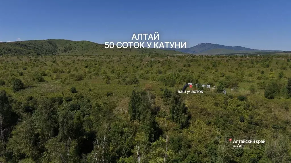 Участок в Алтайский край, Алтайский район, Айский сельсовет  (50.0 ... - Фото 2