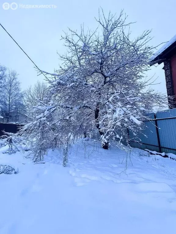 Участок в посёлок Парголово, садоводческое некоммерческое товарищество ... - Фото 0