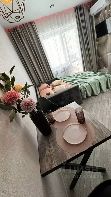 Студия Иркутская область, Иркутск Юбилейный мкр, 117/1 (28.0 м) - Фото 2