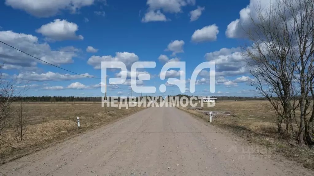 Лето в деревне. Аннолово ленинградская область. Дер аннолово тосненский район. Деревня примерное. Участок в примерном , тосненский район.