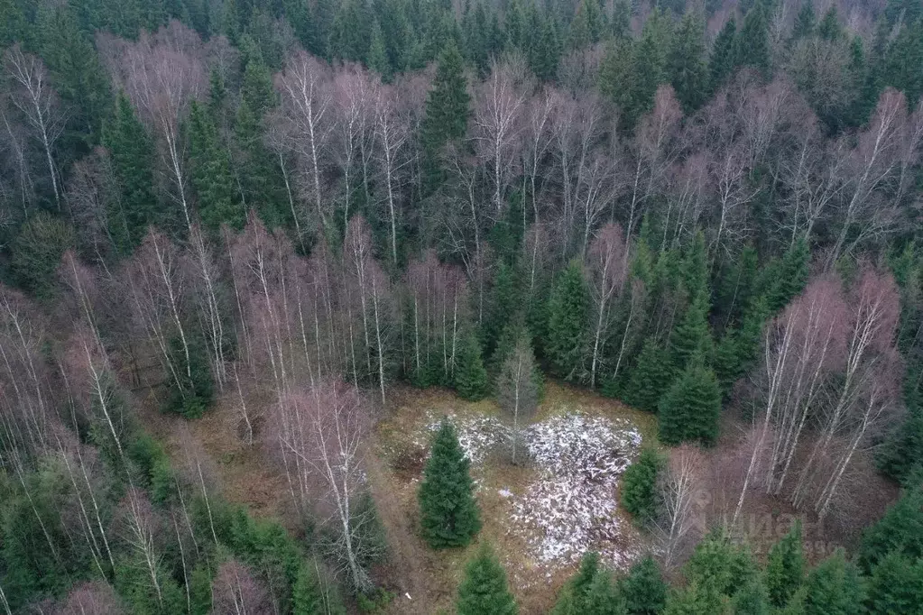 Участок в Московская область, Наро-Фоминский городской округ, д. ... - Фото 1