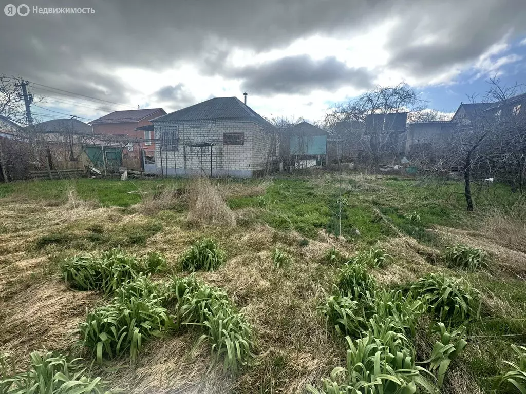 Участок в Краснодарский край, Новороссийск (5.3 м) - Фото 2