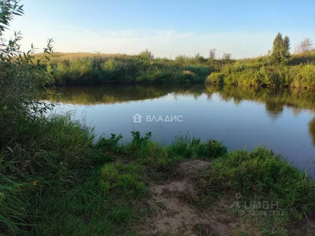 Участок в Владимирская область, Собинский муниципальный округ, с. ... - Фото 2