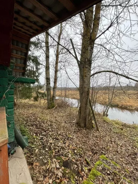 Дом в Новгородская область, Батецкий муниципальный округ, д. Ташино 19 ... - Фото 0