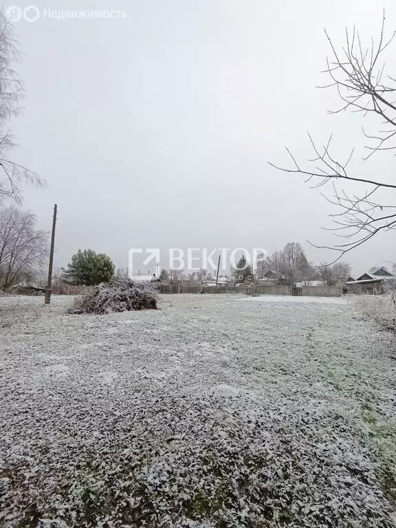 Участок в Костромской район, Чернопенское сельское поселение, село ... - Фото 1