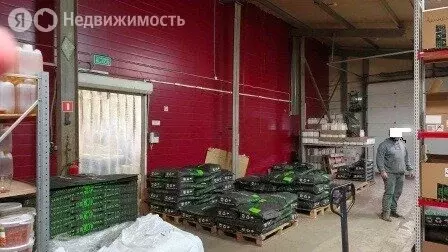 Производственное помещение (560 м) - Фото 1