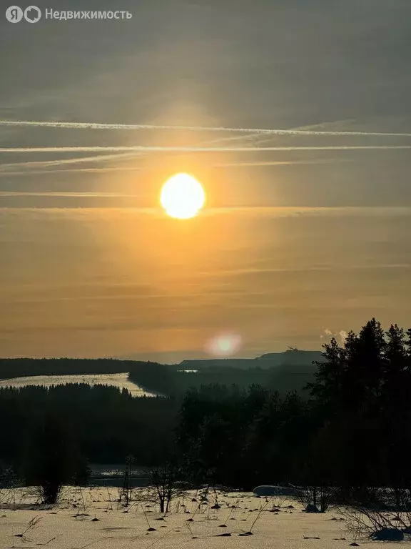 Участок в Пермский край, Соликамский муниципальный округ, посёлок ... - Фото 2