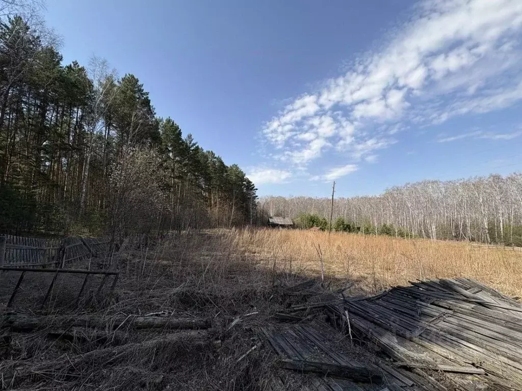 Участок в Новосибирская область, Мошковский район, с. Дубровино ... - Фото 2