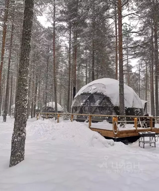 Дом в Ленинградская область, Выборгский район, Рощино пгт  (40 м) - Фото 1