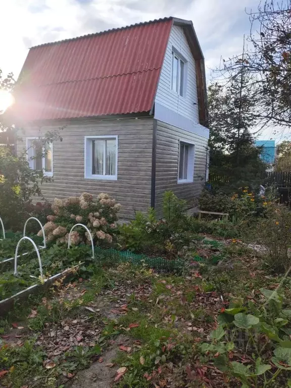 Дом в Омская область, Омский район, Новоомское с/пос, Виктория-1 СТ  ... - Фото 2