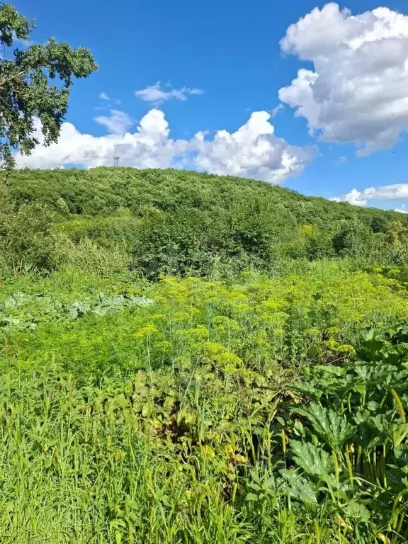 Участок в Амурская область, Благовещенск Садовые участки,  (6.0 сот.) - Фото 1