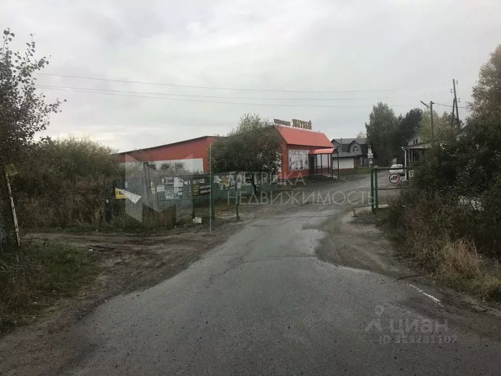 Участок в Тюменская область, Тюменский муниципальный округ, Целинное ... - Фото 1