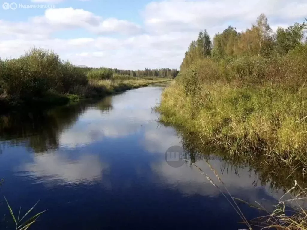 Участок в Рахьинское городское поселение, деревня Коккорево, ... - Фото 0