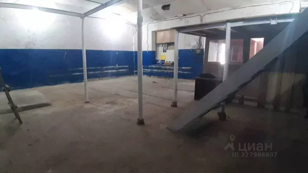 Помещение свободного назначения в Севастополь ул. Николая Музыки, 29 ... - Фото 1