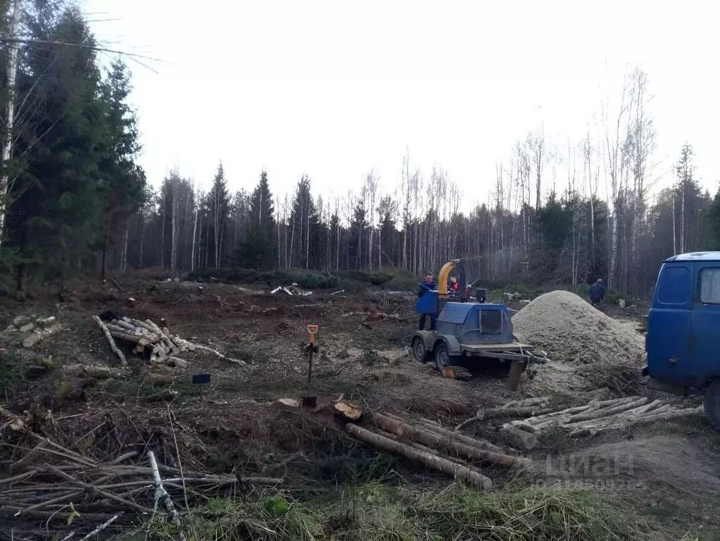 Участок в Московская область, Клин городской округ, Электрощит СНТ 443 ... - Фото 0