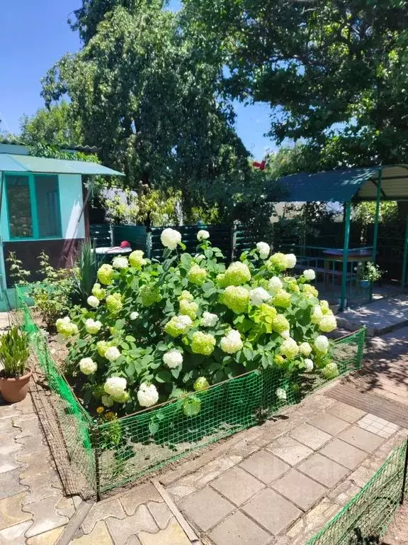 Комната Краснодарский край, Анапа муниципальный округ, с. Витязево ул. ... - Фото 1