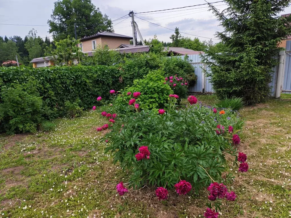Участок в Московская область, Наро-Фоминский городской округ, д. ... - Фото 1