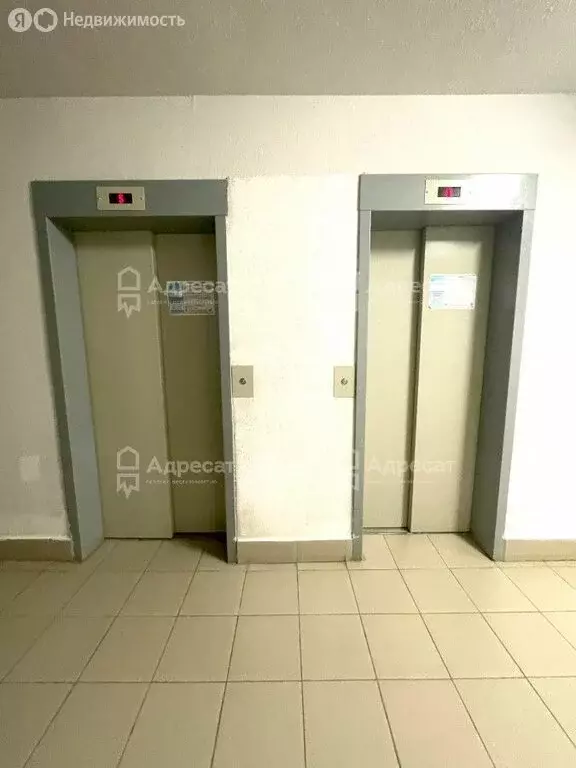 1-комнатная квартира: Волгоград, улица Быстрова, 98 (29.3 м) - Фото 1