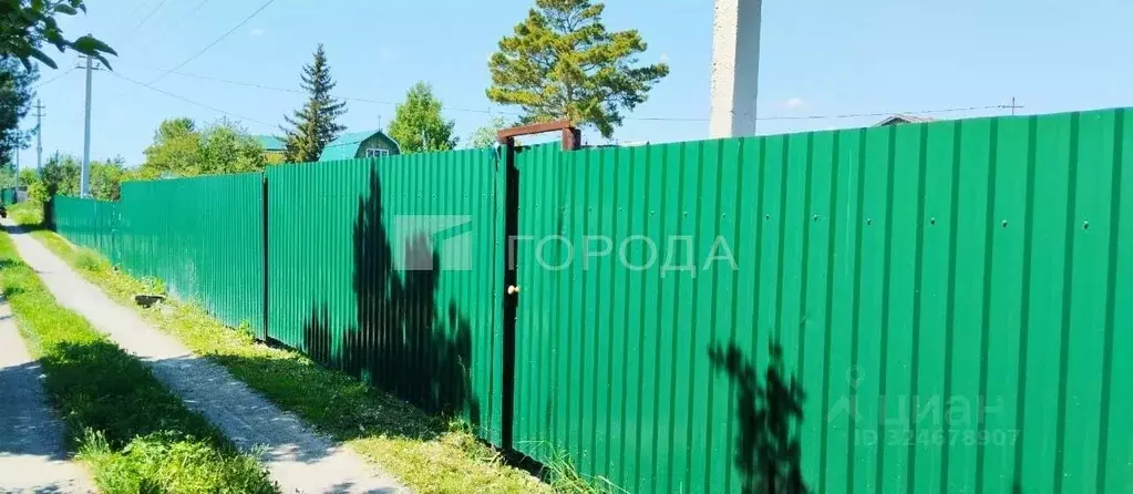 Участок в Новосибирская область, Новосибирский район, Толмачевский ... - Фото 1