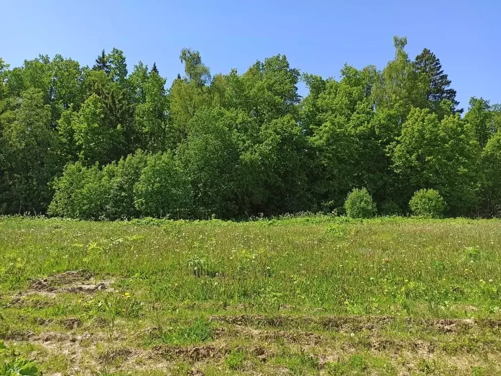 Участок в Московская область, Клин городской округ, д. Борозда  (8.0 ... - Фото 2