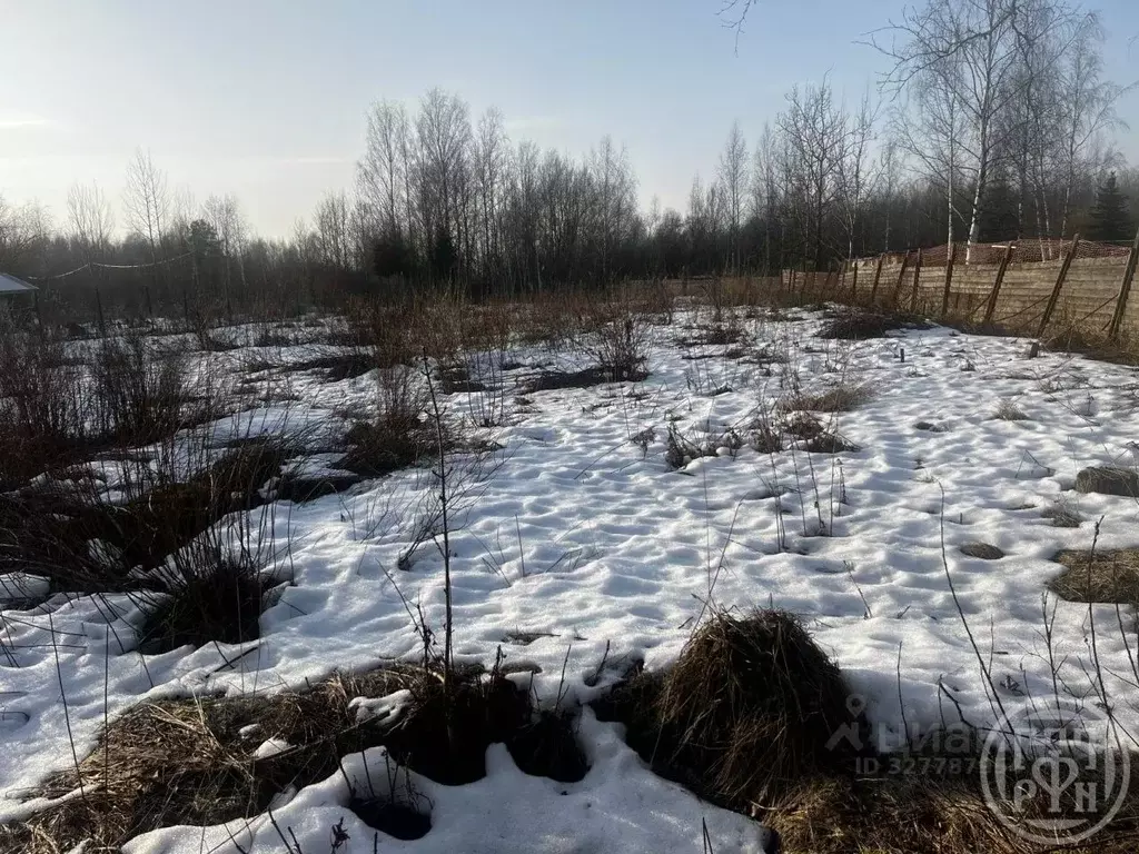 Участок в Санкт-Петербург пер. Осенний, 9 (9.0 сот.) - Фото 1