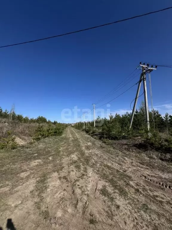 Участок в Тюменская область, Нижнетавдинский муниципальный округ, д. ... - Фото 1