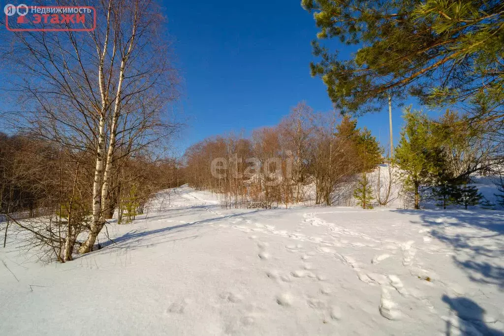 Участок в Пряжинский район, село Святозеро (15 м) - Фото 1