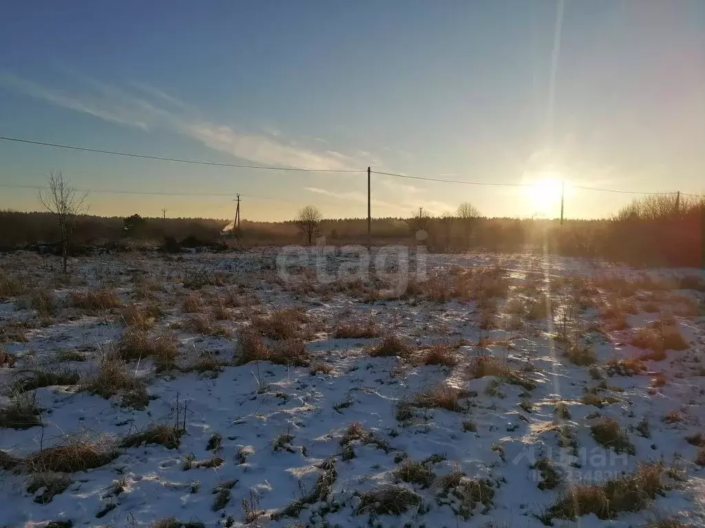 Участок в Свердловская область, Слободо-Туринский район, ... - Фото 0