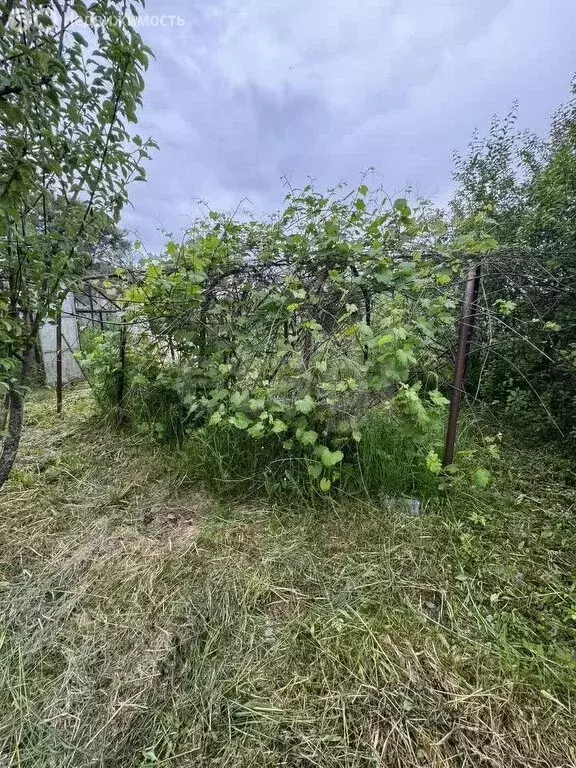 Участок в Кострома, садоводческое некоммерческое товарищество ... - Фото 1