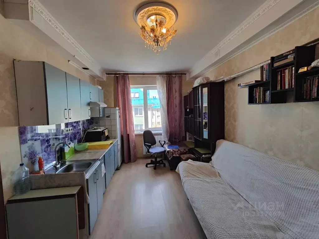Студия Москва пос. Первомайское, ул. Центральная, 10 (24.0 м) - Фото 1
