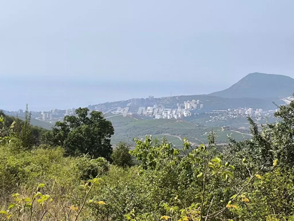 Участок в Крым, Алушта муниципальный округ, с. Лучистое пер. ... - Фото 1