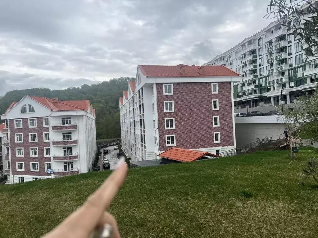 Помещение свободного назначения в Краснодарский край, Сочи Адлер ... - Фото 1