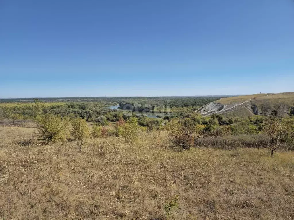 Участок в Воронежская область, Подгоренский район, Белогорьевское ... - Фото 1