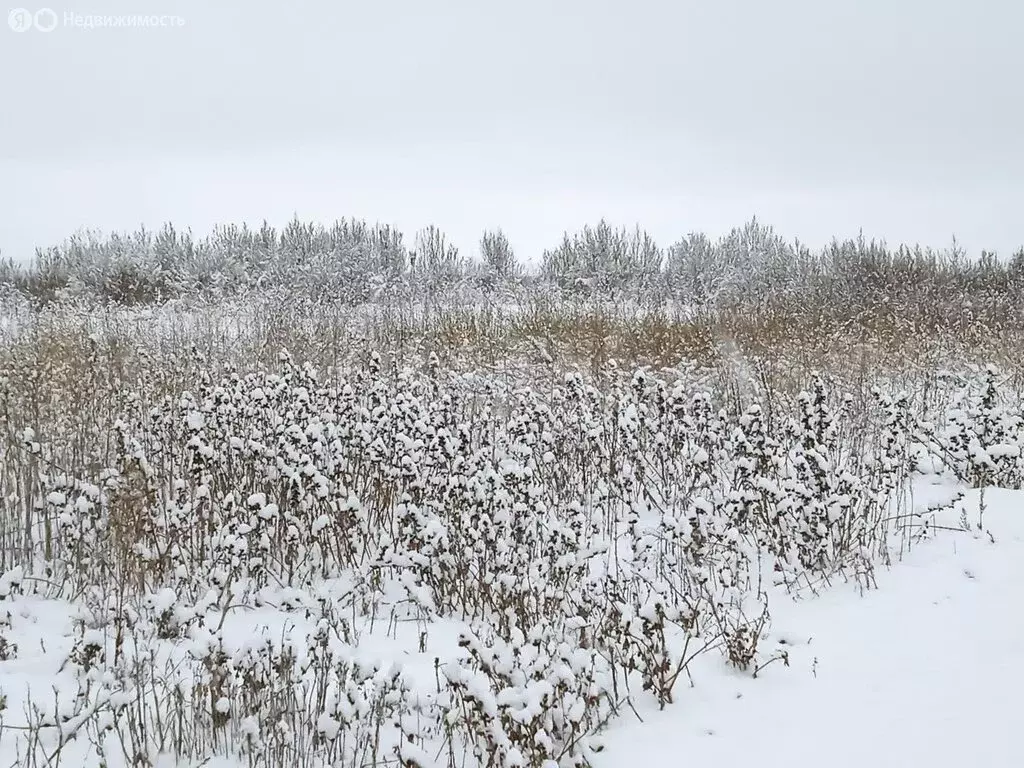Участок в село Нелжа, улица Свободы (1260 м) - Фото 2