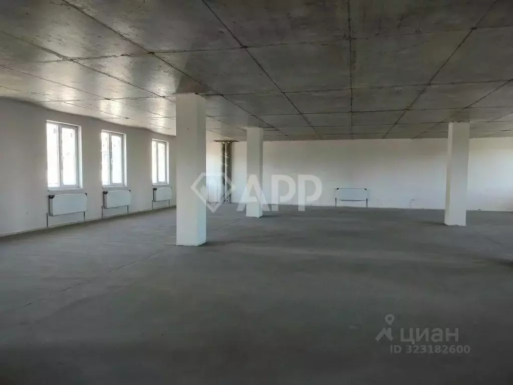 Помещение свободного назначения в Краснодарский край, Анапа проезд ... - Фото 1