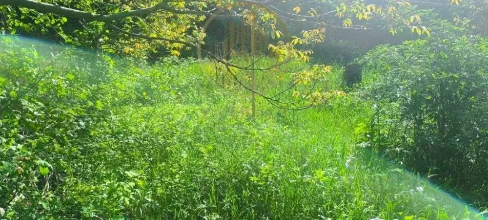 Участок в Ставропольский край, Кисловодск Проектировщик садовое ... - Фото 1