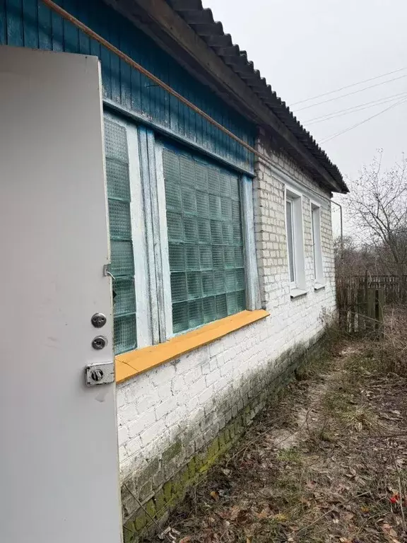 Дом в Брянская область, Севский район, Доброводское с/пос, с. Сенное ... - Фото 2