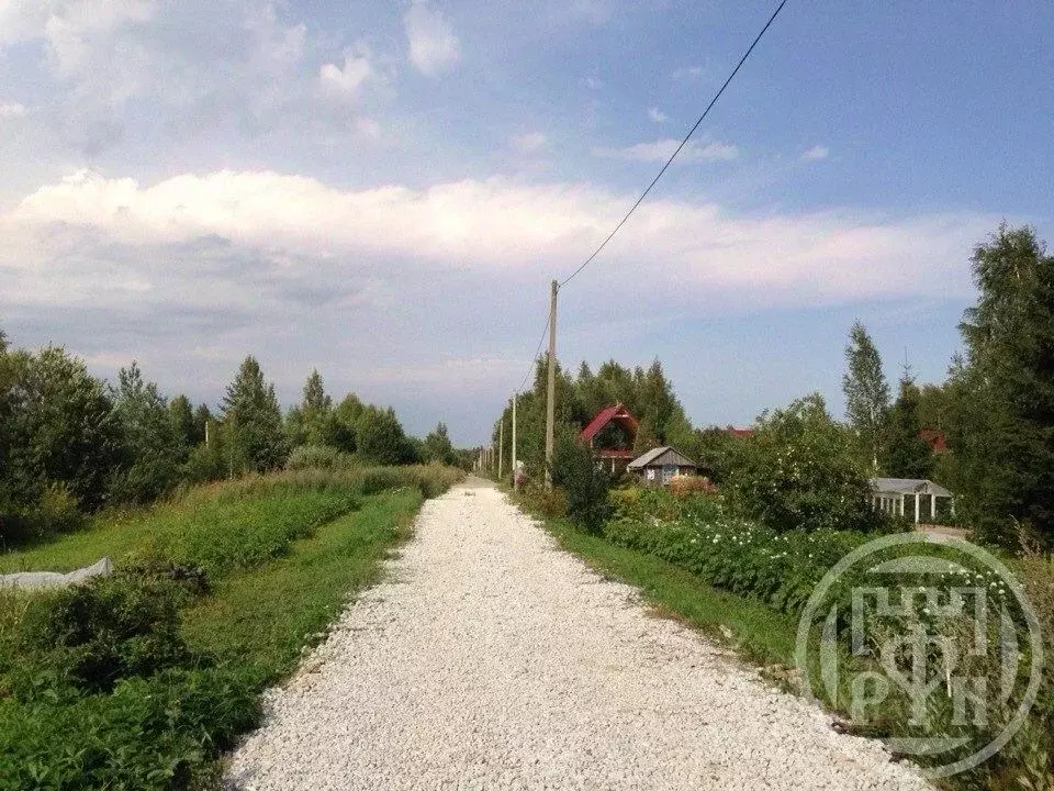 Участок в Ленинградская область, Кингисеппский район, Опольевское ... - Фото 1