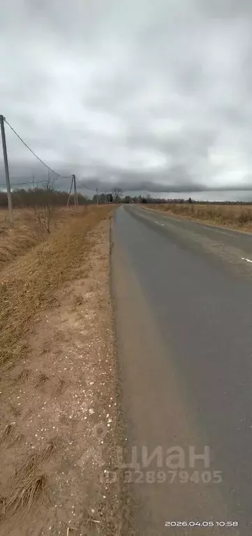 Участок в Новгородская область, Новгородский район, Ермолинское с/пос, ... - Фото 1