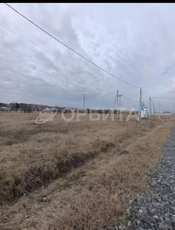 Участок в Тюменская область, Нижнетавдинский муниципальный округ, ... - Фото 1