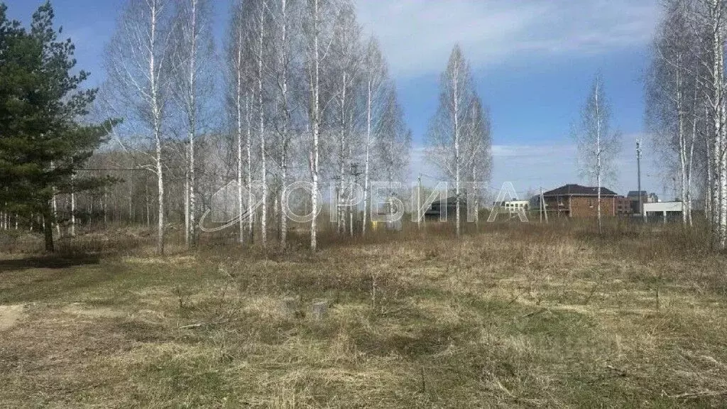 Участок в Тюменская область, Тюменский район, с. Кулига, Кулига-2 мкр  ... - Фото 1