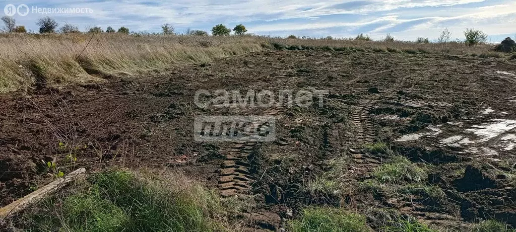 Участок в Темрюк, СНТ Стимул, Яблоневая улица (8 м) - Фото 1