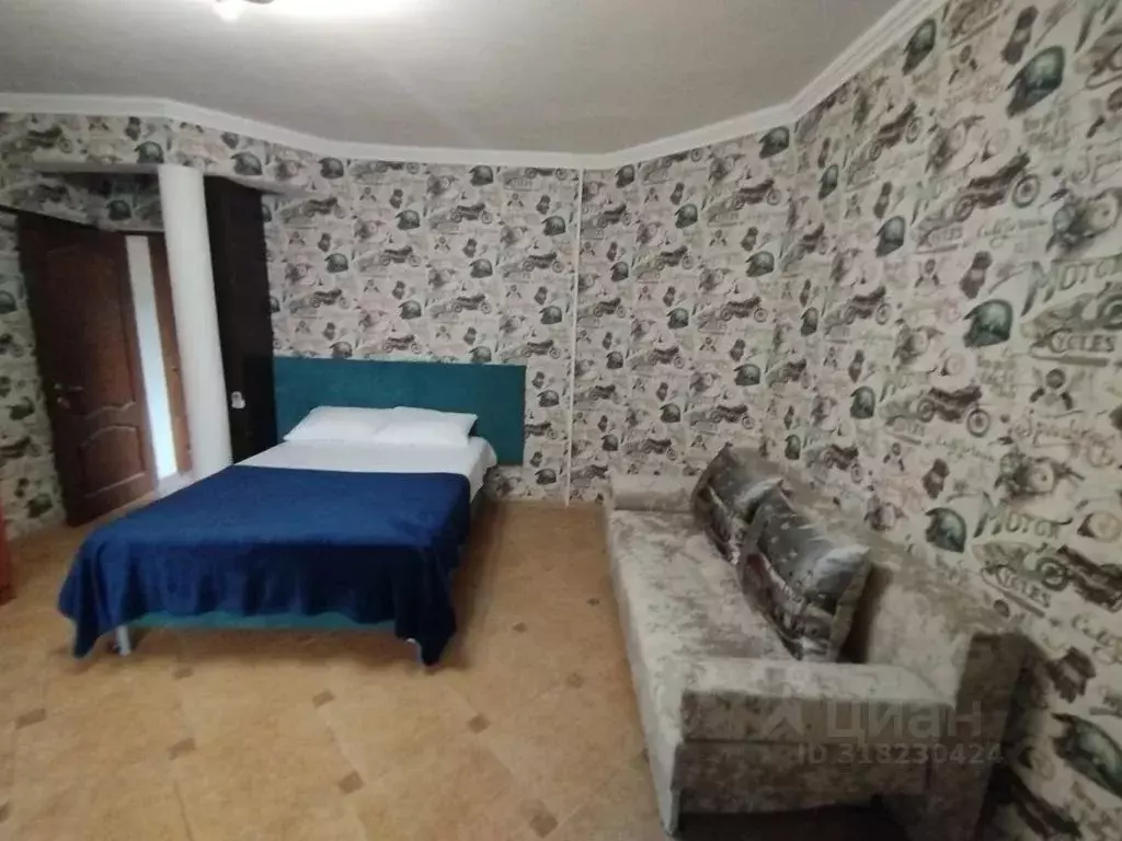 1-к кв. Краснодарский край, Сочи ул. Старонасыпная, 32/4 (25.0 м) - Фото 1