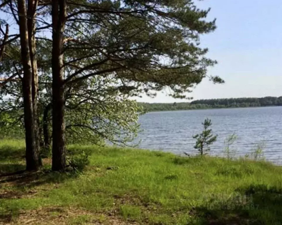 Участок в Московская область, Можайский городской округ, Лукоморье ДНТ ... - Фото 1