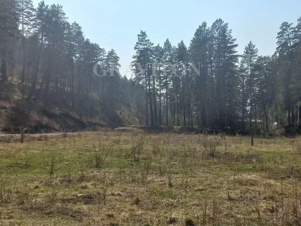 Участок в Алтай, Майминский район, с. Манжерок Ленинская ул. (10.0 ... - Фото 2