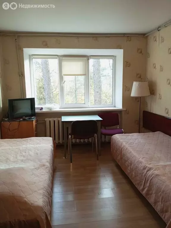 Квартира-студия: Рощино, Песочная улица, 16 (16.5 м) - Фото 1