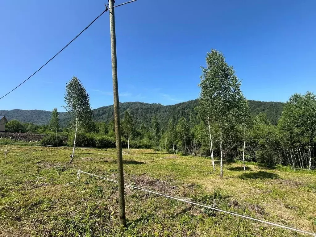 Участок в Алтай, Майминский район, Манжерокское с/пос, с. Озерное ул. ... - Фото 1