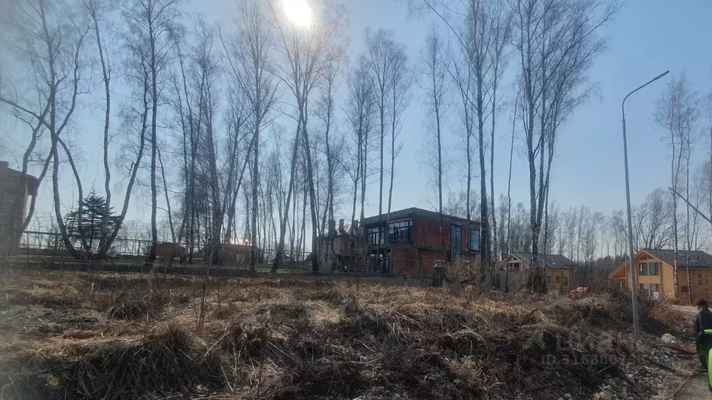 Участок в Московская область, Домодедово Фламандия кп, 299 (8.0 сот.) - Фото 0